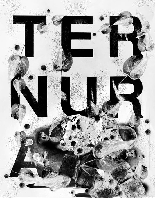 A black and white poster with grunge textures reading 'TERNUR A' overlaid on imagery of translucent seed pods and dried botanical elements.