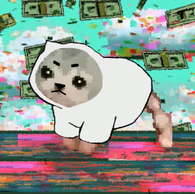 A pixelated cat with a white outline and serious expression against a glitchy, colorful background featuring floating dollar bills.