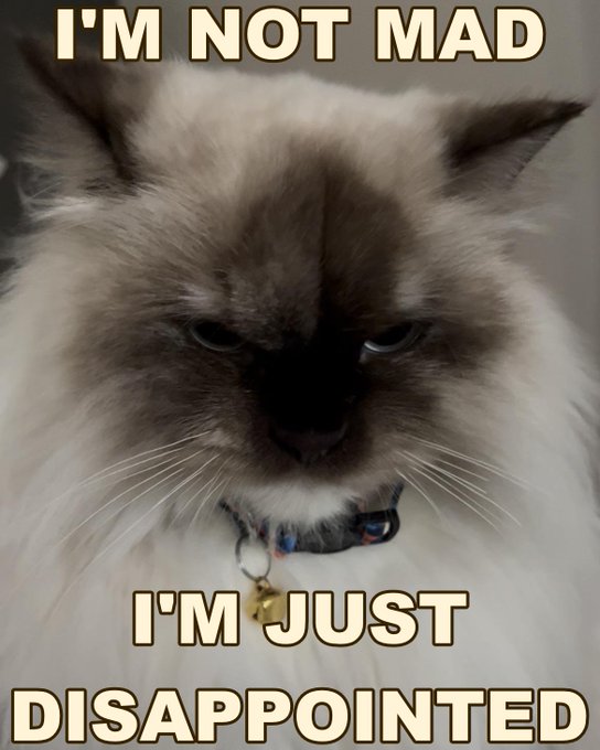 A grumpy Himalayan cat with the text "I'M NOT MAD I'M JUST DISAPPOINTED" overlaid, humorously reflecting the post's tone of gentle frustration about Web3's narrow focus on finance rather than the deeper potential of digital identity and data ownership.