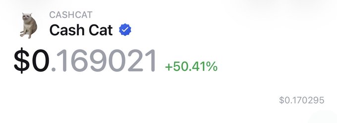 A price display shows Cash Cat (CASHCAT), a verified token, trading at $0.169021, up 50.41% with a previous value of $0.170295. The image illustrates the $170M valuation mentioned in the accompanying post about the token's notable market activity.