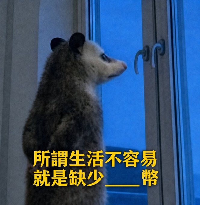 中文符合要求的页面項目題題題題題題題題題題題題題題題題題題題題題題題題題題題題題題題