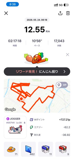 ikebokerto app displays a map and a list of items, including a carrot, a hat, and a book, with the time 12:55 km/h displayed on the screen.
3. The app's interface features a white background with black text and icons for navigation and information.
