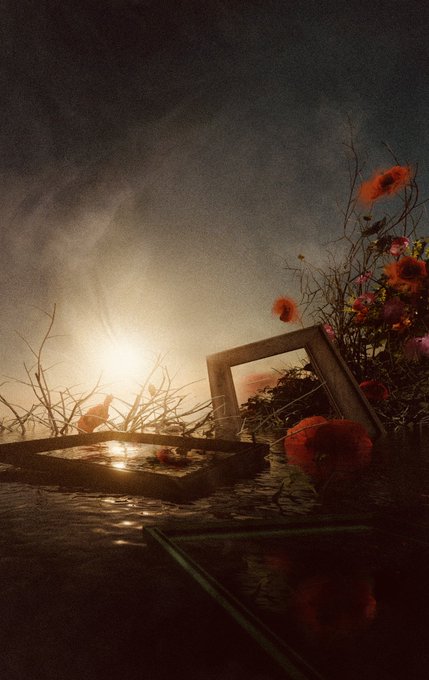 An artistic, moody photograph of flowers and an empty picture frame sitting in shallow water, illuminated by a bright light source creating a sunburst effect.