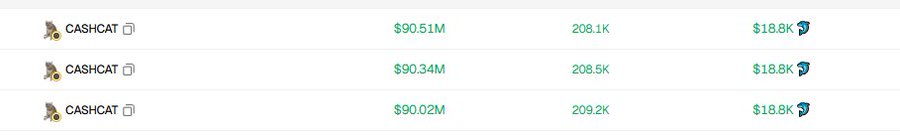 A token listings table showing three CashCat entries with market caps of $90.51M, $90.34M, and $90.02M, holding volumes around 208-209K, each valued at $18.8K.