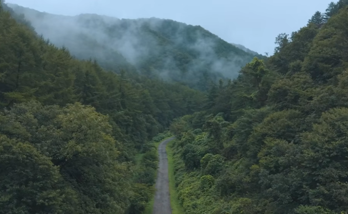 A narrow paved road winds through a misty, densely forested mountain valley with lush green hillsides shrouded in fog.
