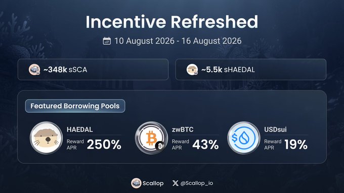 A dark-themed promotional graphic titled 'Incentive Refreshed' dated '10 August 2026 - 16 August 2026' by Scallop (@Scallop_io), displaying borrowing pool rewards for HAEDAL (250% APR), zWBTC (43% APR), and USDsui (19% APR).