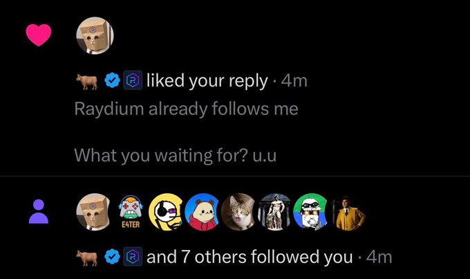 A screenshot of a Twitter (X) notification showing that 'Raydium already follows me' and 'and 7 others followed you', along with various profile icons.