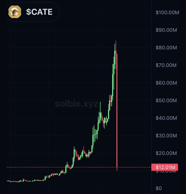 A chart displays the soaring price of "$CATE" from $12.01M to over $80.00M, followed by a sharp decline, suggesting a pump-and-dump scenario that the accompanying post implies "$JOE" might address.