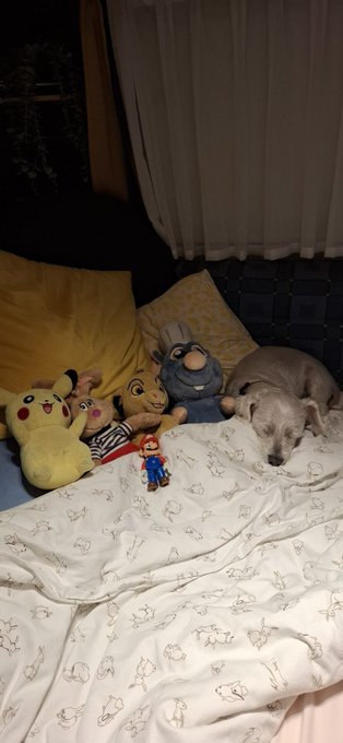 A small white dog sleeping on a bed next to stuffed toys, including Pikachu, Mario, and other plushies, under a white patterned blanket.