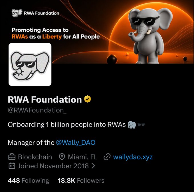 The image features an elephant wearing sunglasses, with the text "RWA Foundation" displayed above it. The background of the image has orange lines radiating outwards from the center, creating a sense of movement or energy. Below this image, there is a Twitter post that reads: "Promoting access to RWA as a Liberty for All People." This post includes a list of followers and mentions several people who have contributed to the foundation's work.