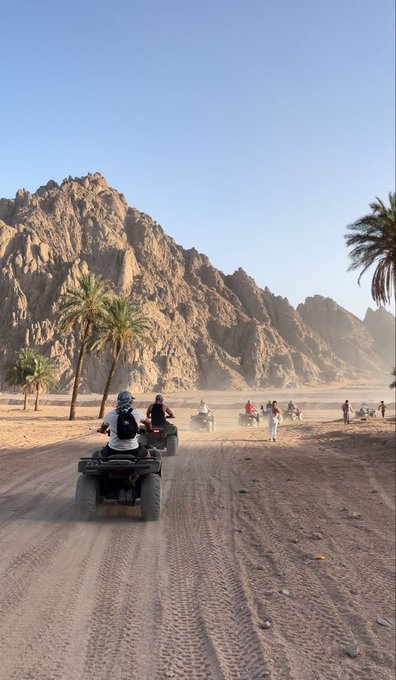 People riding ATVs and dirt bikes through a dusty desert trail surrounded by palm trees and large rocky mountains under a clear blue sky.