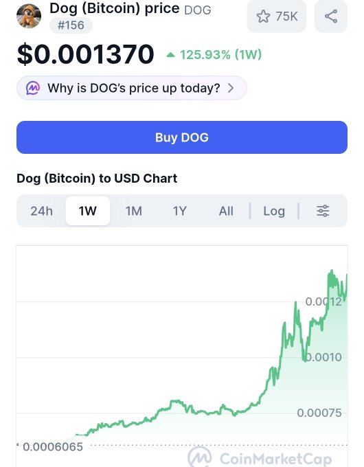 A CoinMarketCap screenshot showing the price of Dog (Bitcoin) ticker DOG at $0.001370, up 125.93% over one week, with a corresponding price chart.
