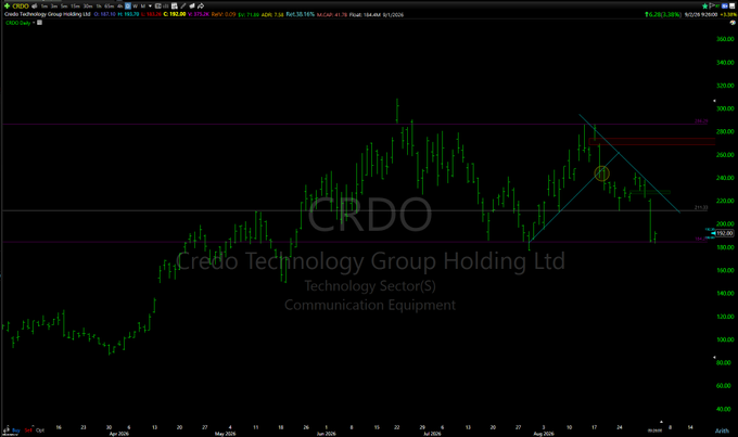 A TradingView candlestick chart of CRDO (Credo Technology Group Holding Ltd) stock showing price action over several months with technical analysis trendlines.