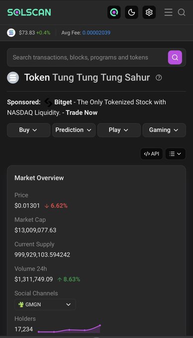 A screenshot from Solscan showing the Token "Tung Tung Tung Sahur" with a price of $0.01301 (down 6.62%), market cap of $13,009,077.63, and 17,234 holders. The image relates to the post about $TripleT by displaying key metrics including the rising holder count, which the post references as a bullish indicator.