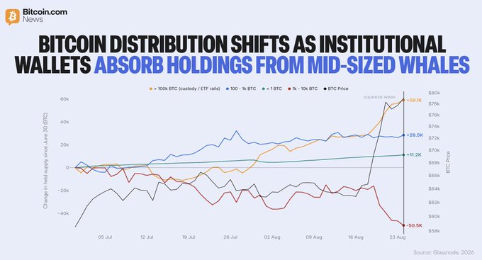 A Bitcoin.com News chart titled "Bitcoin Distribution Shifts as Institutional Wallets Absorb Holdings from Mid-Sized Whales" shows the change in BTC supply held since June across four cohorts: >100k BTC custodians/ETF rebalances (orange) gained +59.1K, 100-1k BTC (blue) added +28.5K, 1-10k BTC (red) shed -50.5K, and 10-100k BTC (green) rose +11.2K, with BTC price climbing from ~$64k to ~$78k by August 23. The visual reinforces the post's claim that Bitcoin is moving "up the size ladder," as the steep orange line of large institutional wallets absorbs supply while the red line of mid-sized whales shows the largest decline.