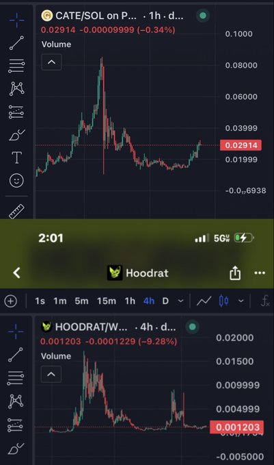 TradingView charts display the price action of $CATE/SOL (Cate on Solana) at 0.02914 (-0.34%) and $HOODRAT at 0.001203 (-9.28%), both cryptocurrencies the poster identifies as promising meme coins with potential billion-dollar valuations.