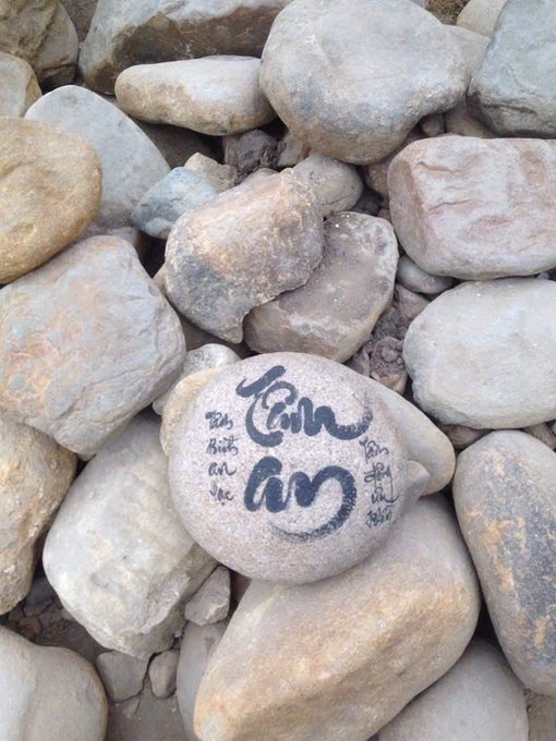 A smooth stone inscribed with "Cẩn trọng" (Vietnamese for "Be careful") and "#Shill" rests among a pile of rocks, visually echoing the post's warning to carefully evaluate crypto projects like BeldexCoin, NucleusCodes, and QuipNetwork before building or investing in them.