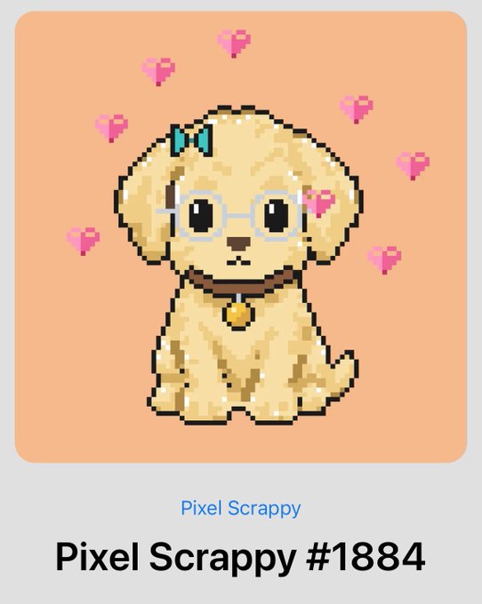 A digital card displays pixel art of a golden doodle dog wearing glasses and a blue bow, surrounded by broken pink hearts, labeled 'Pixel Scrappy #1884'.
