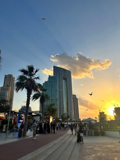 A lively waterfront promenade at sunset, framed by palm trees, high-rise buildings, pedestrians, and birds flying across the golden sky. The image accompanies the post “GM,” presenting a scenic urban evening—perhaps a “good morning” view of the city.