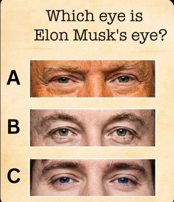 A viral quiz graphic asks 'Which eye is Elon Musk's eye?' presenting three close-up options labeled A (green eyes), B (green eyes), and C (blue eyes).