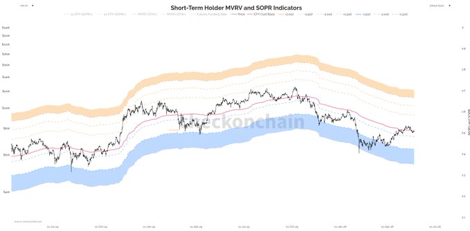 The focus of the image appears to be on Bitcoin's value fluctuations and whether or not it can be used as a reliable indication for short-term hold patterns, possibly relating to Short-Term Hold Holder (STH) P/E Ratios and Volatility Indices like P&SPI. This visual information could provide insights into potential trends in Bitcoin's value and whether it might serve as an indicator of short-term market conditions.