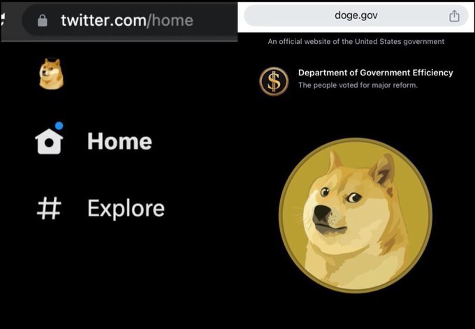 The image shows a computer screen displaying a Twitter app with a Doge character on it, along with a website address for the Department of Government Efficiency. The text on the screen reads "There was a time when this app's logo was a Doge, and another when that same Doge appeared on the website of an official U.S. government department." This suggests that there might be some connection between the Doge character and the Department of Government Efficiency or even a political event involving the Doge character.