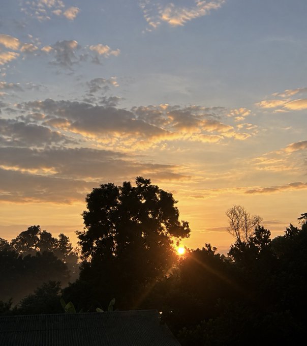 A scenic landscape photo capturing a sunrise or sunset behind silhouetted trees, with golden sunlight piercing through the branches under a partly cloudy blue sky.