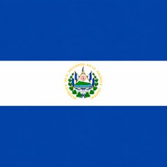 The flag of El Salvador, featuring blue and white horizontal stripes with the national coat of arms at its center, is displayed against a backdrop of news about President Nayib Bukele denying claims regarding the transfer of the country's 7,763 BTC reserves.