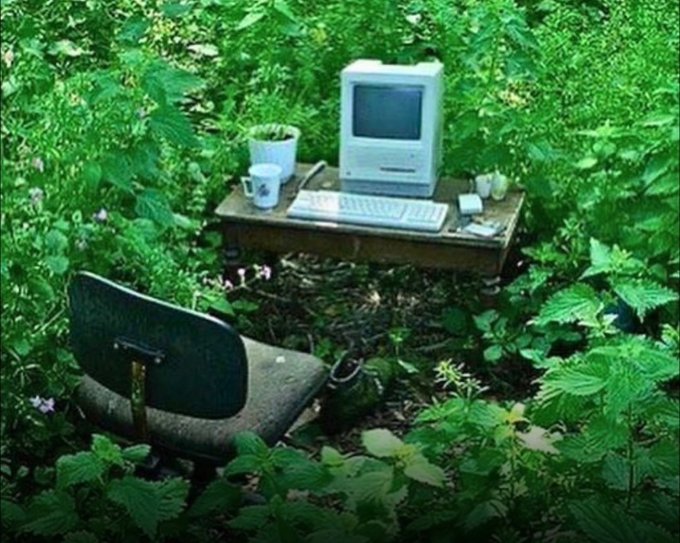 A vintage, surreal scene shows an old beige CRT computer, keyboard, mug, and a worn office chair set up on a wooden desk in the middle of a lush green forest.