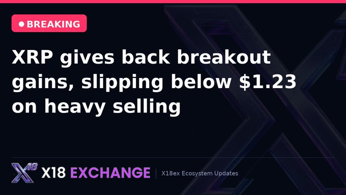 xt18exchange.com