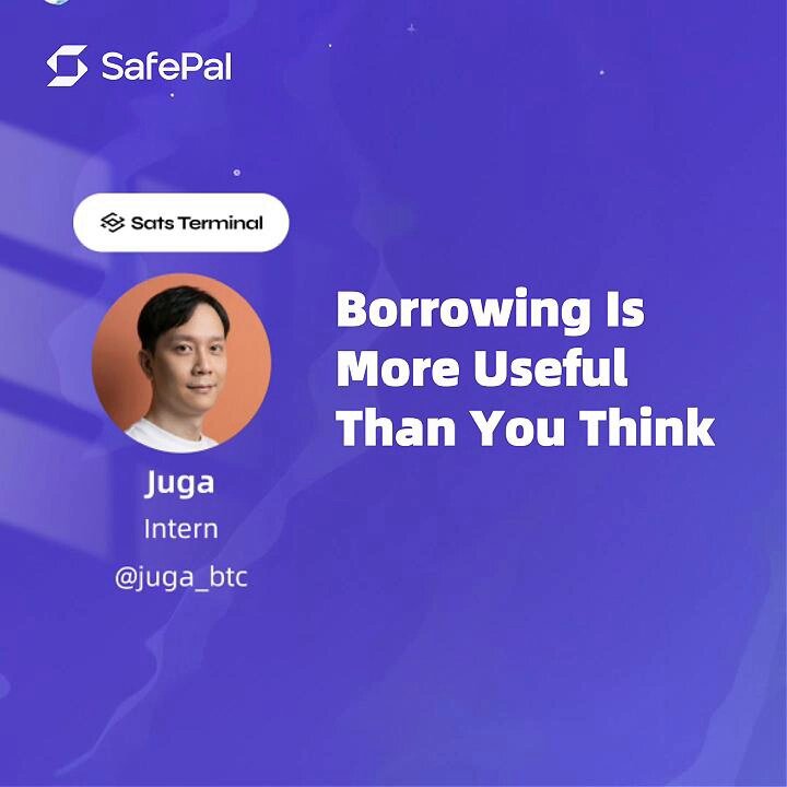 The image features a man's face against a purple background with white text that reads "borrowing is more useful than you think". The caption below the image explains that the post is about leveraging Bitcoin for financial gains, rather than selling Bitcoins directly.