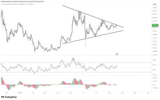 A TradingView daily chart of Zcash/TetherUS (ZECUSDT) on Binance showing price action consolidating within a symmetrical triangle pattern between roughly $240-$720, accompanied by RSI and momentum oscillator indicators below. The chart supports the "long $ZEC for the big Daily trend pop" thesis by displaying a tightening wedge breakout setup on the daily timeframe, suggesting an imminent volatile move after months of compression.