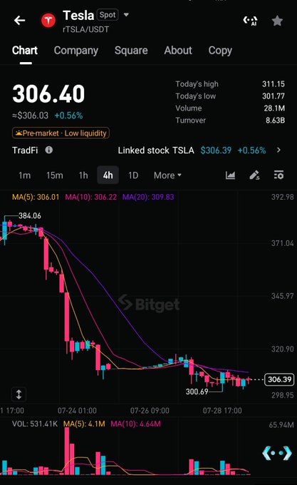 A Bitget trading screen displays the rTSLA/USDT spot pair at 306.40 USDT (+0.56%), with a 4-hour chart showing Tesla's tokenized price declining from 384.06 to a recent low of 300.69, confirming the user successfully posted rTSLA as collateral to borrow USDT for a short position.