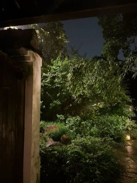 A nighttime view of a lush, illuminated garden with dense greenery and a stone pathway, seen from beneath a wooden structure, suggesting the author has arrived in Hangzhou and is enjoying a peaceful evening setting, inviting local crypto and Web3 enthusiasts to meet for coffee.