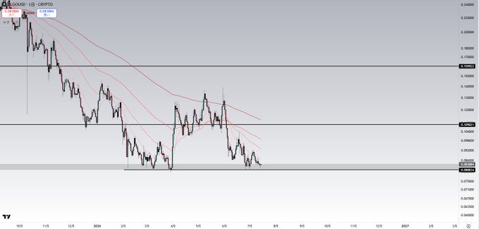 A 1-day candlestick chart of ALGO/USD on TradingView shows the cryptocurrency's downtrend from late 2024, now testing the long-term support zone around $0.08, with a current price of 0.08216—aligning with the post's mention of a potential rebound from this key support level.