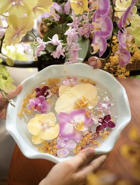 The image features a person holding a bowl filled with flowers, possibly orchids, which are floating in water. The scene takes place near a potted plant, adding an element of nature to the setting. The photo appears to be related to a post about Crypto Survival Plan Day2, as indicated by the caption "Crypto Survival Plan Day2 买了一盆淡粉色的兰花放家里静切活中找答案". The person holding the bowl of flowers is likely participating in this event or promoting it.