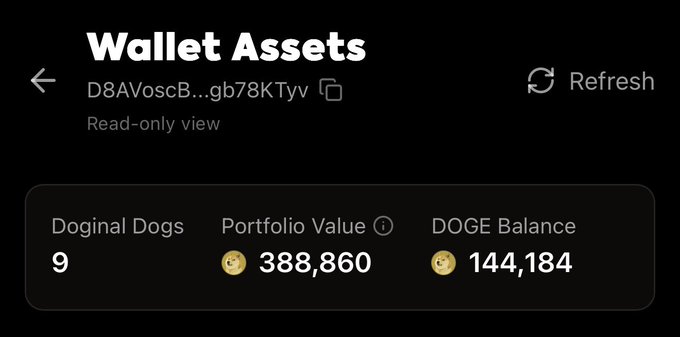 A wallet assets screen showing "9 Doginal Dogs", a portfolio value of "388,860", and a "DOGE Balance" of "144,184".