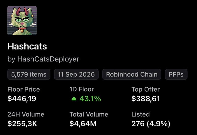 Screenshot of the Hashcats NFT collection page by HashCatsDeployer showing 5,579 items on Robinhood Chain with a floor price of $446.19, up 43.1% in 24H, 24H volume of $255.3K, and total volume of $4.64M.