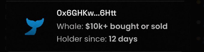 A Twitter notification showing a whale alert for the wallet address "0x6GHKw…6Htt" that bought or sold $10k+ and has been a holder for 12 days—the same address flagged in the post as evidence of a scam tweet claiming someone turned $15 into $10M on $CASHCAT.