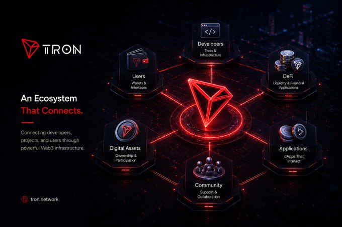 A promotional graphic for the TRON blockchain network titled 'An Ecosystem That Connects,' displaying its interconnected core components: Developers, Users, DeFi, Applications, Community, and Digital Assets.