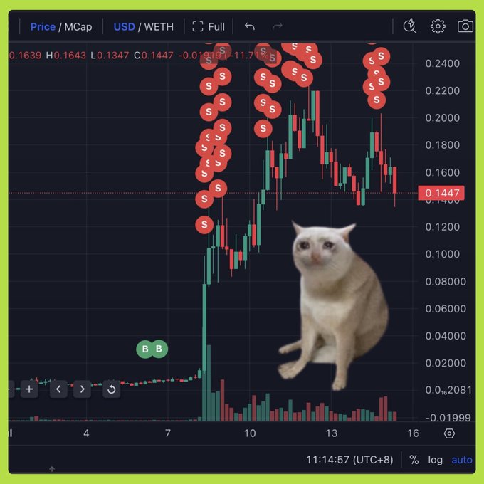 A TradingView candlestick chart shows the CASHCAT token's price spiking from near $0 to a peak above $0.24 before settling at $0.1447, with numerous red "S" (sell) markers clustered at the top of the move and "B B" (buy) markers near the bottom, while a cat meme is overlaid on the chart—illustrating the post's ironic story of a trader turning a $3,000 investment into $2.85 million after the token's 952x rally.