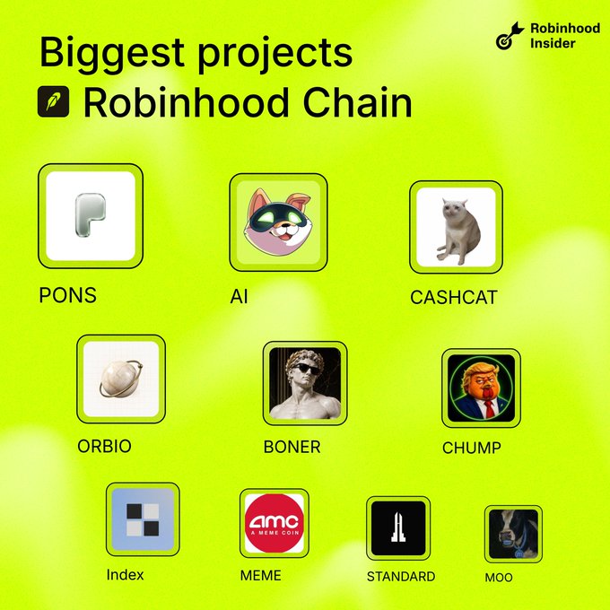 A bright green infographic titled 'Biggest projects' on the 'Robinhood Chain' by Robinhood Insider, displaying logos for PONS, AI, CASHCAT, ORBIO, BONER, CHUMP, Index, MEME, STANDARD, and MOO.