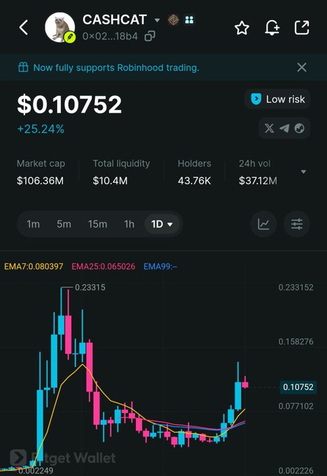 A TradingView chart of CASHCAT priced at $0.10752 (+25.24%), showing market cap of $106.36M, $10.4M liquidity, 43.76K holders, and $37.12M 24h volume.