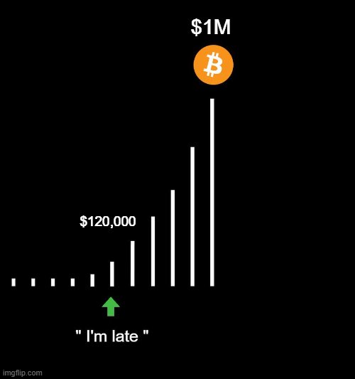 A meme-style bar chart illustrates Bitcoin's value increasing to $1M, with a green arrow labeled 'I'm late' pointing at the bar showing $120,000.