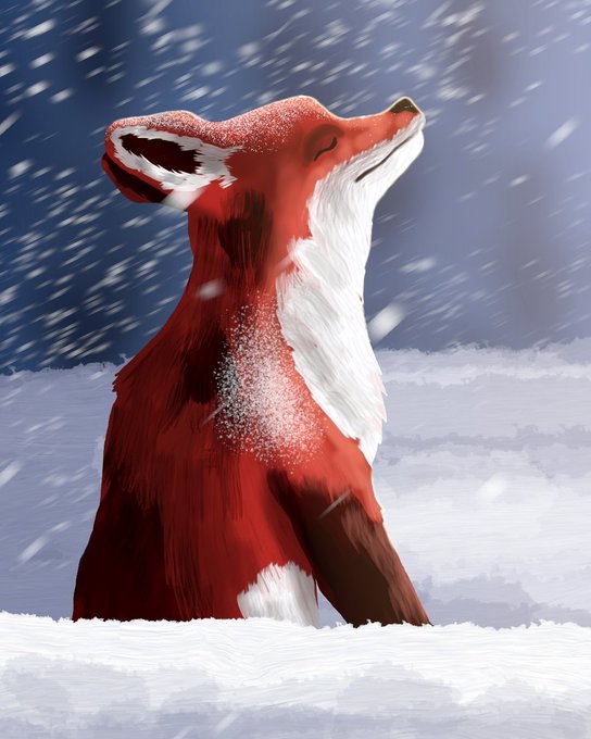 An artistic illustration depicts a red fox with a white chest and snow on its fur, looking upward into falling snowflakes against a blue and white background.