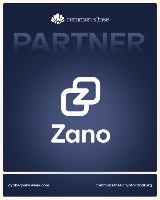 The image features a logo with the word "Zano" written in white letters against a blue background. The text below the logo reads "Common Sise Partner", which suggests that this company might be offering services related to cryptocurrency or blockchain technology, given their partnership with "zano3".