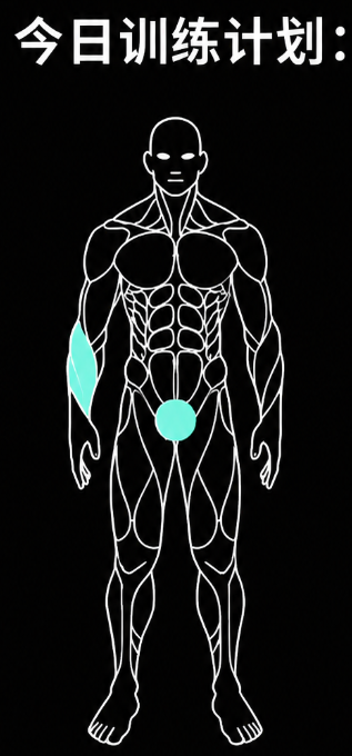 An anatomical illustration shows a male figure with his right forearm and pelvic area highlighted in light blue, titled "今日训练计划:" (Today's training plan:). The image serves as a visual guide for a fitness routine, corresponding to the accompanying post asking if the user has completed their training.