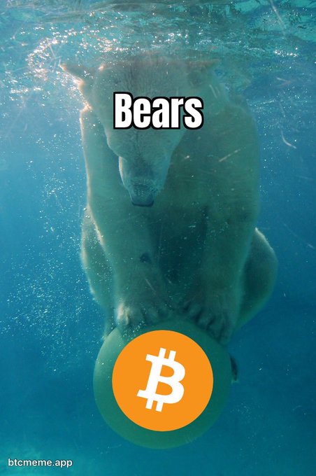 An underwater photograph of a polar bear diving toward a Bitcoin (₿) coin, labeled "Bears" in white text, with the watermark "btcmeme.app" in the bottom left.