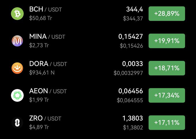 A cryptocurrency price tracker displaying various coins paired with USDT, including BCH (+28.89%), MINA (+19.91%), DORA (+18.71%), AEON (+17.34%), and ZRO (+17.11%).