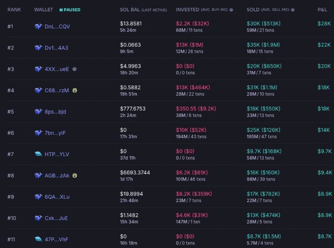 A dark-themed leaderboard ranks 11 crypto wallets by P&L, showing key metrics like SOL balances, invested capital, sold amounts, and profits/losses. Wallet #1 "DnL...CQV" tops the list with a $28K profit and 5h 24m active time, while other notable entries include #2 "Dv1...4A3" ($22K) and #5 "8ps...bjd" with a massive $777K SOL balance. The image appears to be a wallet tracking dashboard relating to the post's warning about a fraudulent coin dumping scheme causing significant investor losses.